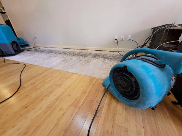Professional Water Removal technician working in Malabar, FL